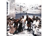 Water-carriers come to David`s Pool at Hebron to fill their goat-skin `bottles`. An early photograph.